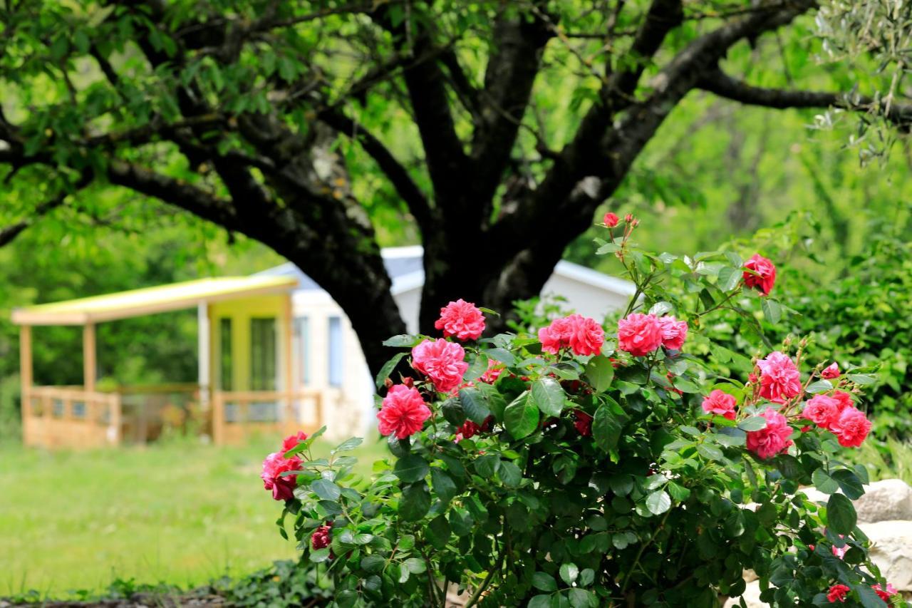 Отель Medrose Camping Saint-Thome Экстерьер фото